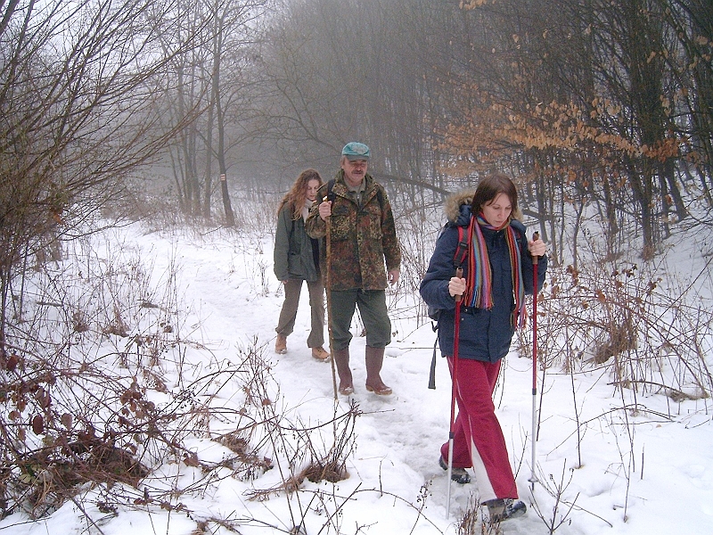 20100220 017.jpg